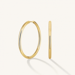 ROSEFIELD JEFBG-J977 VERGULD STALEN OORRINGEN FINE BIG HOOPS