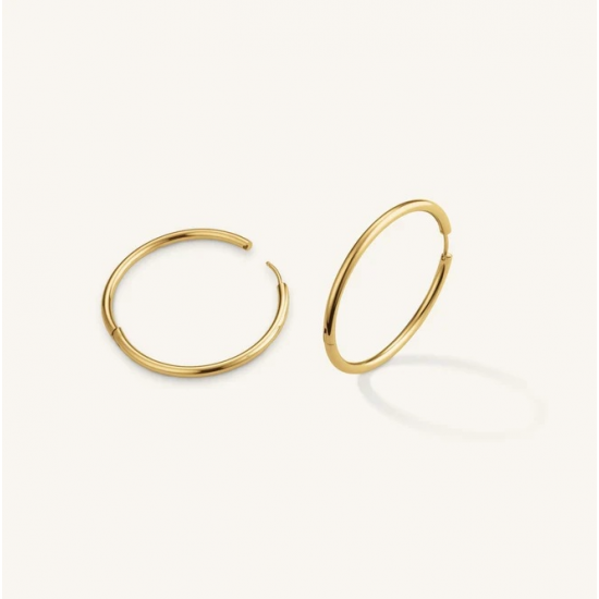 ROSEFIELD JEFBG-J977 VERGULD STALEN OORRINGEN FINE BIG HOOPS