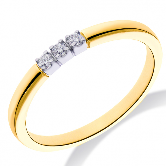 PAS DIAMONDS GBG0759 14K GOUDEN MEMOIRE RING MET NATUURLIJKE DIAMANT 0.09CT