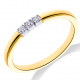 PAS DIAMONDS GBG0759 14K GOUDEN MEMOIRE RING MET NATUURLIJKE DIAMANT 0.09CT