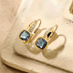TI SENTO 78118DB ZILVER VERGULDE OORHANGERS MET ZIRKONIA CUSHION HOOPS