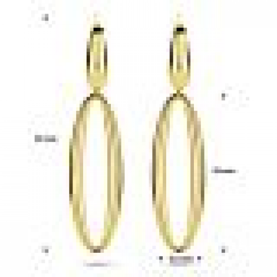 THE HOUSE OF JEWELS 4034462 GOUDEN OORHANGERS